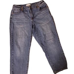 Lane Bryant denim capri